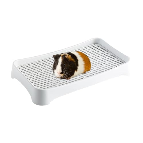 Bunny Box - Stabile Töpfchenkiste | Haustierpfanne, Toilette, Hasenbox, Pfannenablage für erwachsene Meerschweinchen, Hamster, Kleintiere Bunny Box - Stabile Töpfchenkiste | Haustierpfanne, Toilette, Hasenbox, Pfannenablage für erwachsene Meerschweinchen, Hamster, Kleintiere von Nkmujil