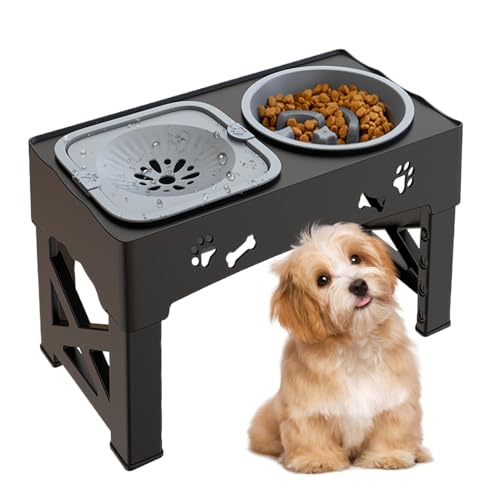Cat Feeder Water Dispenser, Anti-Slip Food Water Bowl, Easy to Clean Pet Waterer Feeding Supplies for Small, Medium Animals, Kittens, Puppies, 16.93x9.57x3.23 Inches, Black Cat Feeder Water Dispenser, Anti-Slip Food Water Bowl, Easy to Clean Pet Waterer Feeding Supplies for Small, Medium Animals, Kittens, Puppies, 16.93x9.57x3.23 Inches, Black von Nkmujil