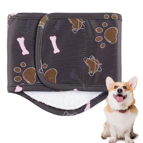 Dog Diapers, Washable Male Dogs Belly Band, Waterproof Reusable Pet Pants, Soft Belly Wrap Protection, Ideal for Small Dogs, Usage Scenario Potty Training Indoor and Outdoor Dog Diapers, Washable Male Dogs Belly Band, Waterproof Reusable Pet Pants, Soft Belly Wrap Protection, Ideal for Small Dogs, Usage Scenario Potty Training Indoor and Outdoor von Nkmujil