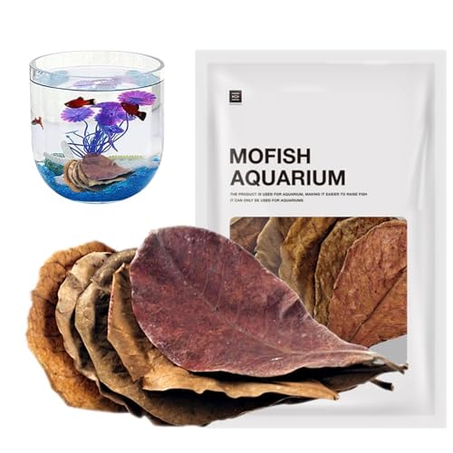 Indianer Mandelblätter | Blätter Aquarien | Mandelblätter Aquarium | Mandeln mit gesundheitlichen Vorteilen | Indianer Mandel mit natürlicher Umgebung | Mandeln für Süßwasser von Nkmujil