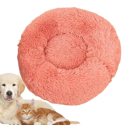 Nkmujil Katzenbetten für den Innenbereich, Plüsch, rundes Donut-Kuschelbett für kleine Hunde und Katzen, Kissen, Schlafhütte für Kätzchen, ultimatives Haustierbett für Katzen zum Schlafen und Nkmujil Katzenbetten für den Innenbereich, Plüsch, rundes Donut-Kuschelbett für kleine Hunde und Katzen, Kissen, Schlafhütte für Kätzchen, ultimatives Haustierbett für Katzen zum Schlafen und von Nkmujil