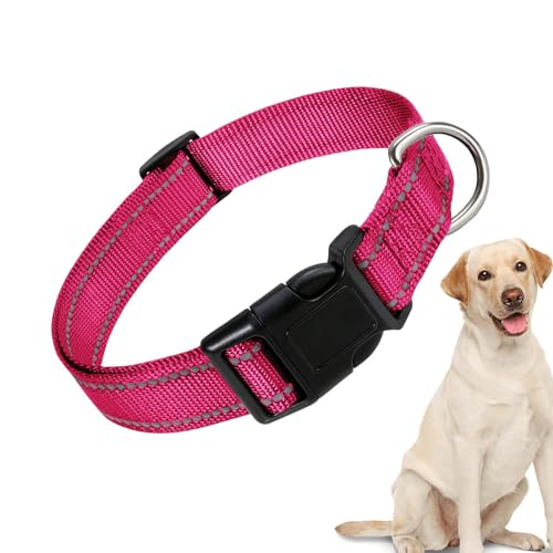 Nkmujil Reflektierendes Katzenhalsband, reflektierende Nylon-Schnalle, verstellbare Nylon-Schnalle, Hundehalsband, atmungsaktiv, bequem für verschiedene Hunde Nkmujil Reflektierendes Katzenhalsband, reflektierende Nylon-Schnalle, verstellbare Nylon-Schnalle, Hundehalsband, atmungsaktiv, bequem für verschiedene Hunde von Nkmujil