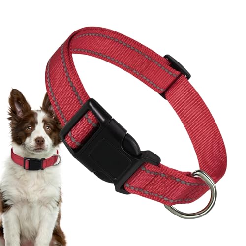 Nylon-Hundehalsband, reflektierendes Haustierhalsband, verstellbares Komforthalsband, Nylon-Schnalle, Hundehalsband für verschiedene Hunde, große Katzen Nylon-Hundehalsband, reflektierendes Haustierhalsband, verstellbares Komforthalsband, Nylon-Schnalle, Hundehalsband für verschiedene Hunde, große Katzen von Nkmujil