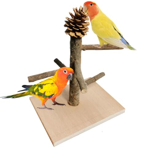 -Sitzstange aus Naturholz, Vogelspielständer, Tischplatte -Sitzstange, Vogel-Trainingsspielplatz, Vogelkäfigspielzeug, Nymphensittich-Spielständer, natürlicher Vogelspielplatz von Nkmujil