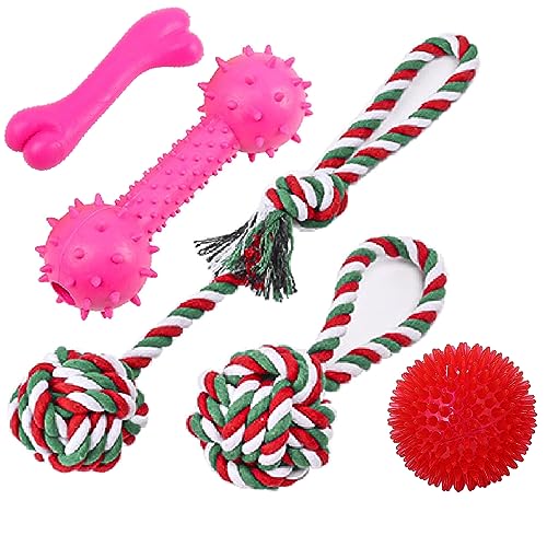 Nlmskzzy Hundespielzeug, Kauspielzeug für Hunde, 20 Stück, für Spaß und Zahnreinigung, Seilspielzeug für mittelgroße bis kleine Hunde (5er-Pack) von Nlmskzzy