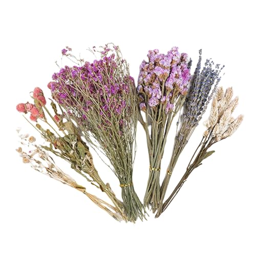 Blume Hamster Bettwäsche kleines Tier Bettwäsche Naturthema Bettwäsche Hamster Käfig Blumen Wohnraum Dekoration Käfig Zubehör Hamster Gerbild Bettwäsche Blumen Hamster Käfig Blume Tier Blume Hamster Bettwäsche kleines Tier Bettwäsche Naturthema Bettwäsche Hamster Käfig Blumen Wohnraum Dekoration Käfig Zubehör Hamster Gerbild Bettwäsche Blumen Hamster Käfig Blume Tier von Nlrlo