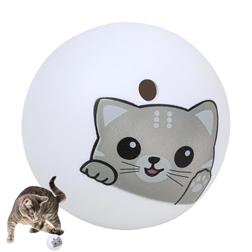 Interaktiver Katzenball Hundespielzeug Ball Übungsball für Kätzchen Indoor Katzenspielzeug Katzenball Übung Spaß Spielzeug Interaktives Hundespielzeug Kätzchen Katzenspielzeug Klassischer Interaktiver Katzenball Hundespielzeug Ball Übungsball für Kätzchen Indoor Katzenspielzeug Katzenball Übung Spaß Spielzeug Interaktives Hundespielzeug Kätzchen Katzenspielzeug Klassischer von Nlrlo