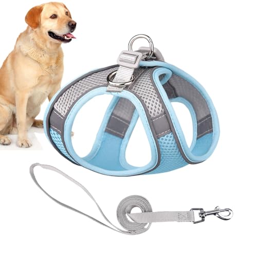 Kleines Katzengeschirr, weich, verstellbar, bequem, Outdoor-Geschirr, reflektierender Streifen, Katzengeschirr, Katzengeschirr, Katzengeschirr für Katzen und Kätzchen, Weste, Indoor-Katzengeschirr, Kleines Katzengeschirr, weich, verstellbar, bequem, Outdoor-Geschirr, reflektierender Streifen, Katzengeschirr, Katzengeschirr, Katzengeschirr für Katzen und Kätzchen, Weste, Indoor-Katzengeschirr, von Nlrlo