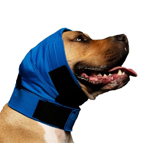 No Flap Ear Wrap (Xgroß Blau) von No Flap