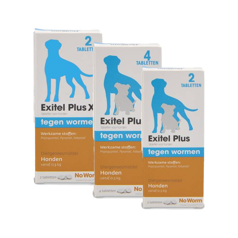 No Worm Exitel Plus XL Hund (minimal 17,5 kg) - 2 Tabletten von No Worm