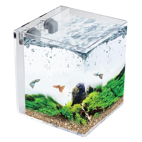 NoClean Aquariums Selbstreinigendes Aquarium, 1,9 l, einfache Wartung, Aquarium-Set mit Deckel und Wasserfallbecken, schnelles Schmutzentfernungssystem von NoClean Aquariums