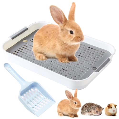 Noafricz Kaninchen Toilette, Kaninchentoilette mit Schaufel, Tablett Haustier Toilette, Kunststoff Hasentoilette, Kleintier Katzentoilette Töpfchentrainer, für Kleintier Kaninchen Meerschweinchen Noafricz Kaninchen Toilette, Kaninchentoilette mit Schaufel, Tablett Haustier Toilette, Kunststoff Hasentoilette, Kleintier Katzentoilette Töpfchentrainer, für Kleintier Kaninchen Meerschweinchen von Noafricz