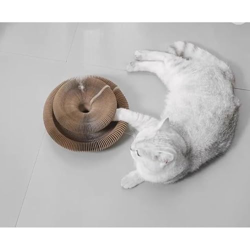 Noaxylic Kratzbrett Katze, Magic Organ Katzen Kratzbrett, Tragbare Pet Cat Scratch Board, Katzenkratzbretter mit Glöckchen, Wendbar, Foldable Convenient Cat Scratcher, für Den Drinnen und Draußen von Noaxylic