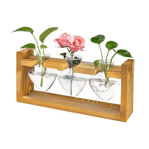 Glaspflanzen-Anzuchtstation – 3 Stück herzförmige Glasvase mit Vintage-Holzständer, Pflanzen-Terrarium, Anzuchtstation, Hydrokultur-Pflanzenvermehrung, Glas-Terrarium für den Innenbereich, Glaspflanzen-Anzuchtstation – 3 Stück herzförmige Glasvase mit Vintage-Holzständer, Pflanzen-Terrarium, Anzuchtstation, Hydrokultur-Pflanzenvermehrung, Glas-Terrarium für den Innenbereich, von Noaya