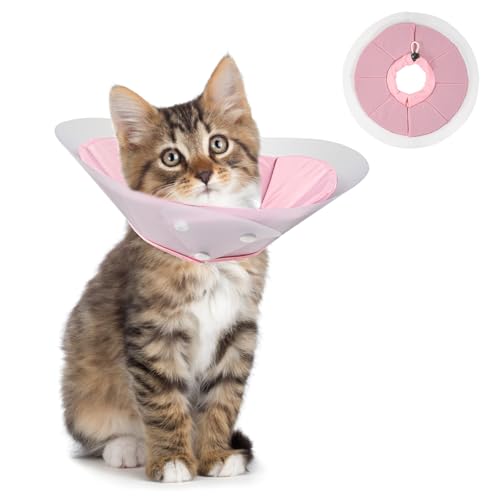 Noaya Cat Cone Halsband Weich - Verstellbares Weiches Futter Erholungshalsband für Katze Welpe, Rosa, M Noaya Cat Cone Halsband Weich - Verstellbares Weiches Futter Erholungshalsband für Katze Welpe, Rosa, M von Noaya