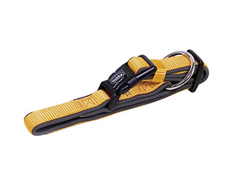 Nobby Halsband Classic Preno, orange / grau L: 25-35 cm, B: 15/20 mm, 1 Stück Nobby Halsband Classic Preno, orange / grau L: 25-35 cm, B: 15/20 mm, 1 Stück von Nobby