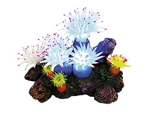 Nobby 28598 Aqua Ornaments APLYSINA mit Pflanzen, mit LED 16, 5 x 12, 0 x 11, 0 cm von Nobby