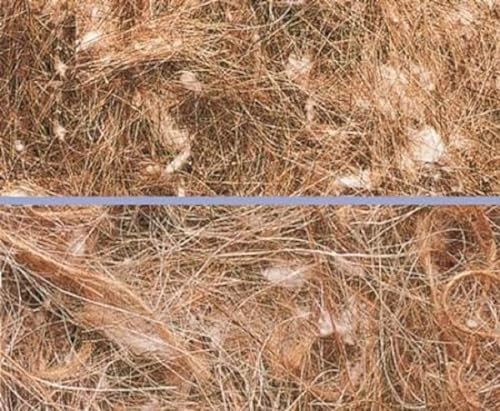 Nobby 50060 Nistmaterial Animale Vegetale von Nobby