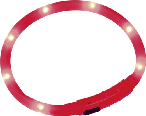 Nobby 78234 LED Lichtschlauch Visible rot, 10 mm; 40 cm von Nobby