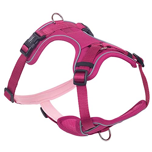 Nobby Komfort Geschirr MAILO, himbeere, S: Brust: 23-35 cm, Bauch: 40-55 cm, B: 15 mm, 1 Stück Nobby Komfort Geschirr MAILO, himbeere, S: Brust: 23-35 cm, Bauch: 40-55 cm, B: 15 mm, 1 Stück von Nobby