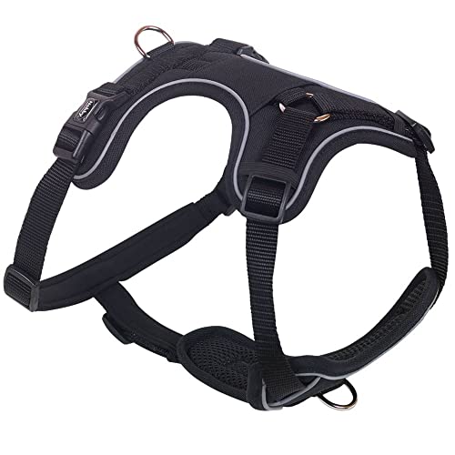 Nobby Komfort Geschirr MAILO, schwarz, S-M: Brust: 30-45 cm, Bauch: 50-62 cm, B: 20 mm, 1 Stück Nobby Komfort Geschirr MAILO, schwarz, S-M: Brust: 30-45 cm, Bauch: 50-62 cm, B: 20 mm, 1 Stück von Nobby
