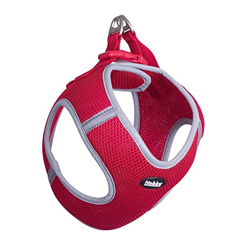 Nobby Mesh Geschirr DELIGHT, rot, XS: Brust: 30-35 cm, Bauch: 35-40 cm, 15 mm, 1 Stück Nobby Mesh Geschirr DELIGHT, rot, XS: Brust: 30-35 cm, Bauch: 35-40 cm, 15 mm, 1 Stück von Nobby