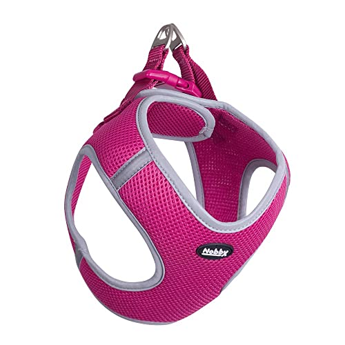 Nobby Mesh Geschirr DELIGHT, himbeere, S: Brust: 35-40 cm, Bauch: 40-45 cm, 15 mm, 1 Stück Nobby Mesh Geschirr DELIGHT, himbeere, S: Brust: 35-40 cm, Bauch: 40-45 cm, 15 mm, 1 Stück von Nobby