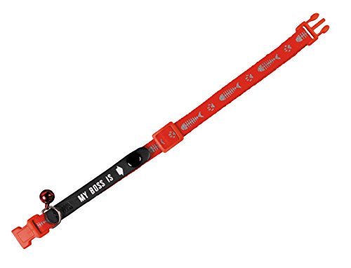 Nobby Adress-Katzenhalsband My Boss is, rot, 1 Stück Nobby Adress-Katzenhalsband My Boss is, rot, 1 Stück von Nobby