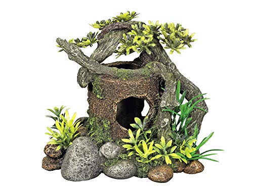 Nobby Aqua Ornaments HOLZ MIT VERSTECK mit Pflanzen, 18 x 15 x 15 cm, 1 Stück Nobby Aqua Ornaments HOLZ MIT VERSTECK mit Pflanzen, 18 x 15 x 15 cm, 1 Stück von Nobby