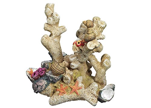 Nobby Aqua Ornaments KORALLE, 13,0 x 9,5 x 14,0 cm, 1 Stück Nobby Aqua Ornaments KORALLE, 13,0 x 9,5 x 14,0 cm, 1 Stück von Nobby