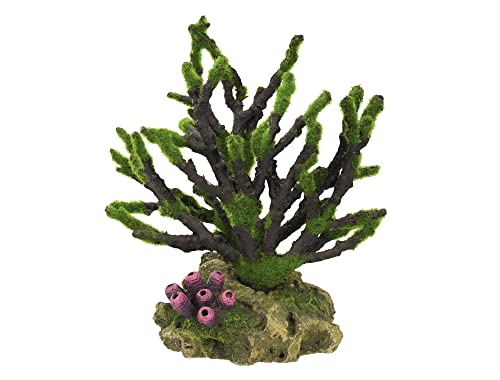 Nobby Aqua Ornaments KORALLE mit Moos, 19 x 12 x 20,8 cm, 1 Stück Nobby Aqua Ornaments KORALLE mit Moos, 19 x 12 x 20,8 cm, 1 Stück von Nobby