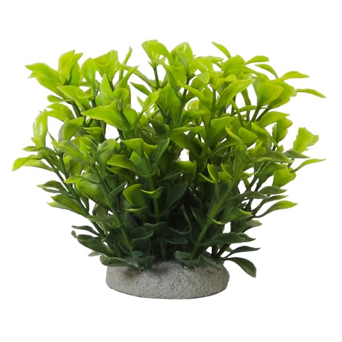 Nobby Aqua Ornaments LUDWIGIA GRÜN 6,5 x 6,5 x 11 cm von Nobby