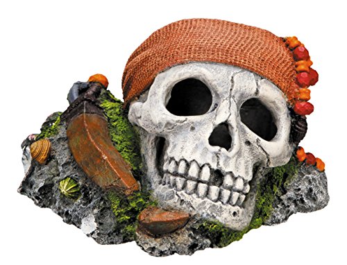 Nobby Aqua Ornaments PIRATEN TOTENKOPF, 14,5 x 12,5 x 8,5 cm, 1 Stück Nobby Aqua Ornaments PIRATEN TOTENKOPF, 14,5 x 12,5 x 8,5 cm, 1 Stück von Nobby
