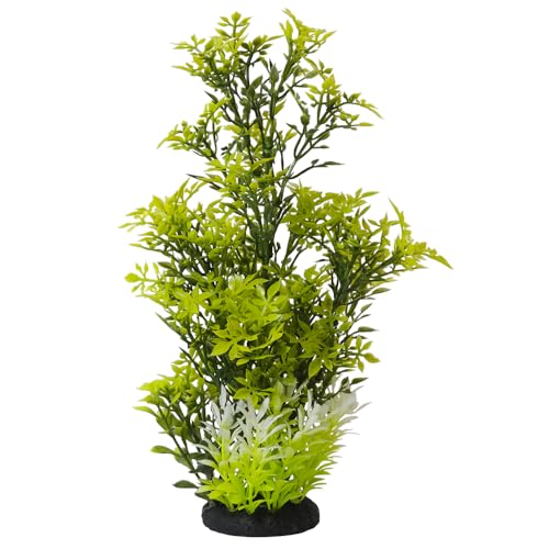 Nobby Aqua Ornaments ROTALA 7 x 7 x 27 cm von Nobby