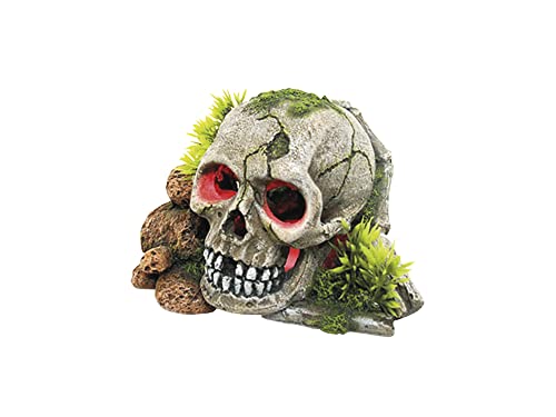 Nobby Aqua Ornaments SCHÄDEL mit Pflanzen, mit LED, 15,5 x 13,3 x 9,5 cm, 1 Stück von Nobby