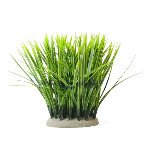 Nobby Aqua Ornaments VALLISNERIA 11,5 x 7 x 20 cm von Nobby