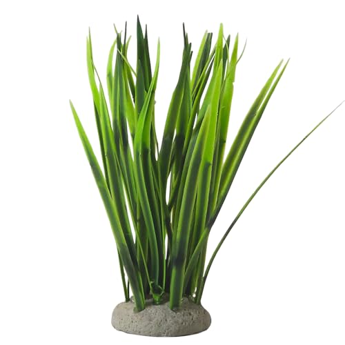 Nobby Aqua Ornaments VALLISNERIA 6,5 x 6,5 x 16 cm Nobby Aqua Ornaments VALLISNERIA 6,5 x 6,5 x 16 cm von Nobby