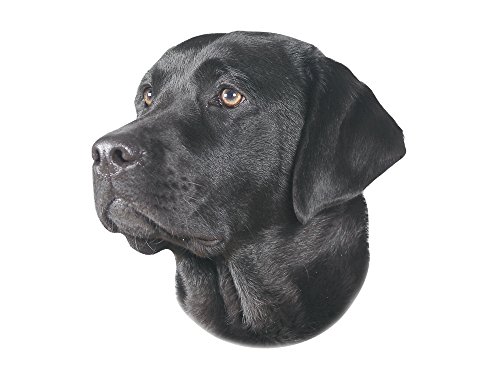 Nobby 93266 Aufkleber Labrador, schwarz von Nobby