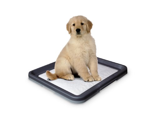 Nobby Doggy Trainer L - 62,5 x 48 x 3,8 cm Nobby Doggy Trainer L - 62,5 x 48 x 3,8 cm von Nobby