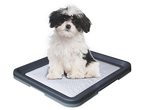 Nobby Doggy Trainer S - 48 x 41 x 3,5 cm von Nobby