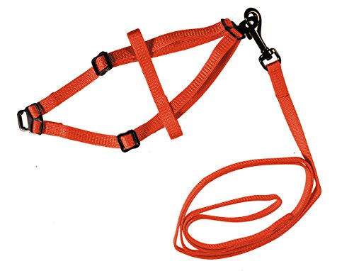 Nobby Garnitur Nylon Kaninchen rot Nobby Garnitur Nylon Kaninchen rot von Nobby