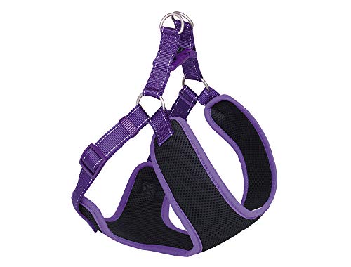 Nobby Geschirr Black Mesh Reflect, lila L: 33-41 cm + 37 cm, B: 10 mm, 1 Stück Nobby Geschirr Black Mesh Reflect, lila L: 33-41 cm + 37 cm, B: 10 mm, 1 Stück von Nobby