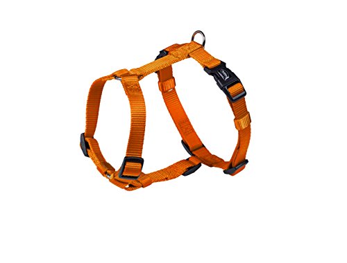 Nobby Geschirr Classic, orange Brust: 70/90 cm, B: 25 mm, 1 Stück Nobby Geschirr Classic, orange Brust: 70/90 cm, B: 25 mm, 1 Stück von Nobby