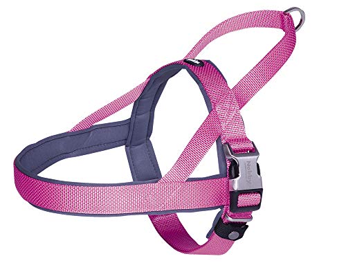 Nobby Geschirr Classic Preno Royal rosa; L: 50-64 cm + 42 cm; B: 25/35 mm Nobby Geschirr Classic Preno Royal rosa; L: 50-64 cm + 42 cm; B: 25/35 mm von Nobby