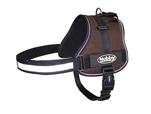 Nobby Geschirr SEGURO, braun Bauch: 82-110 cm, B: 40 mm, 1 Stück Nobby Geschirr SEGURO, braun Bauch: 82-110 cm, B: 40 mm, 1 Stück von Nobby