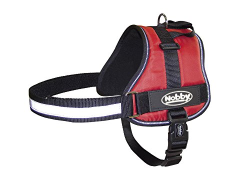 Nobby Geschirr SEGURO, rot Bauch: 82-110 cm, B: 40 mm, 1 Stück Nobby Geschirr SEGURO, rot Bauch: 82-110 cm, B: 40 mm, 1 Stück von Nobby
