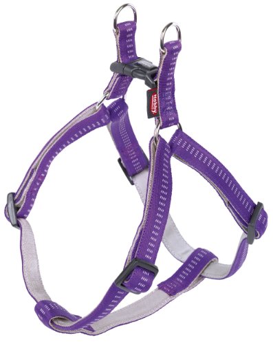 Nobby Geschirr Soft Grip, lila Brust: 50-72 cm, B: 20 mm, 1 Stück Nobby Geschirr Soft Grip, lila Brust: 50-72 cm, B: 20 mm, 1 Stück von Nobby