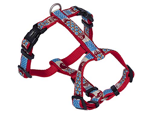 Nobby Geschirr Style, rot, L: 25-35 cm, B: 10 mm, 1 Stück Nobby Geschirr Style, rot, L: 25-35 cm, B: 10 mm, 1 Stück von Nobby