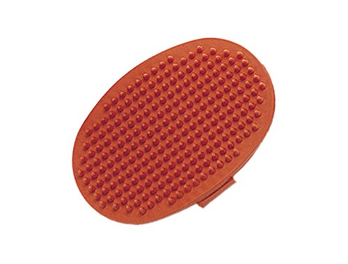 Nobby Gummibürste oval mit Schlaufe Nobby Gummibürste oval mit Schlaufe von Nobby