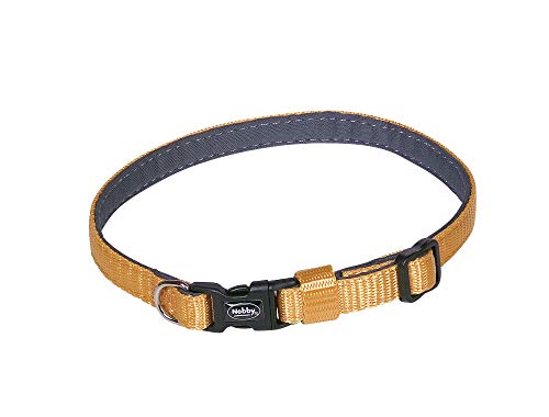 Nobby Halsband Classic Preno Mini, orange, L: 13-20 cm, B: 10 mm, 1 Stück Nobby Halsband Classic Preno Mini, orange, L: 13-20 cm, B: 10 mm, 1 Stück von Nobby